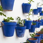 Apartmán La Calleja De La Corredera Córdoba